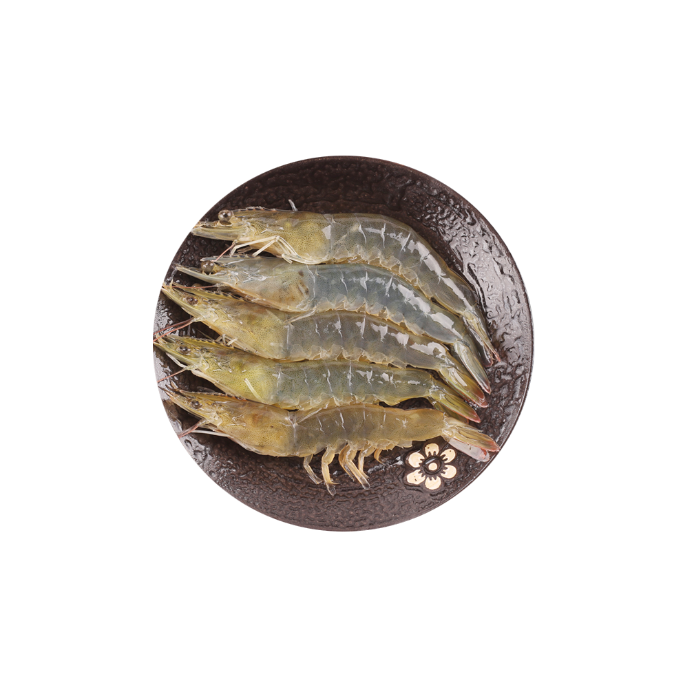 大青虾是河虾还是海虾
